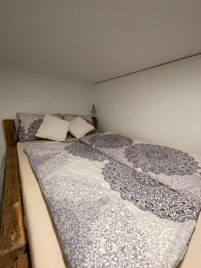 Bergglueck - Gemuetliches Appartement Am Traunsee Altmünster المظهر الخارجي الصورة